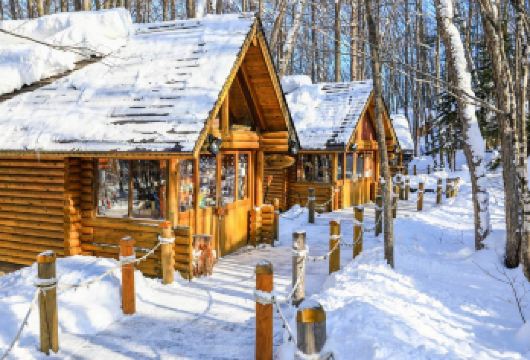 日本北海道美瑛青池+旭川拉面村+旭山动物园【中文专车出行，贴心服务为您】