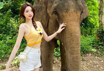 西双版纳野象谷一日游【10点晚出发丨丨高质量出行】【[18人小团]专业经营纯玩，时间100%用于游览体验，精选核心景点，安排充足时间，拒绝走马观花。】