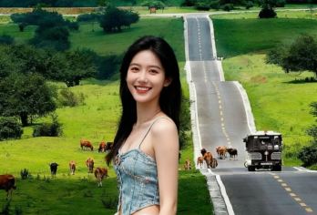 重庆武隆天生三桥+仙女山森林公园+乌江画廊一日游|纯玩无购物【优势一：上门接，不进任何购物店真纯玩，让您体验不一样的天仙之旅。】