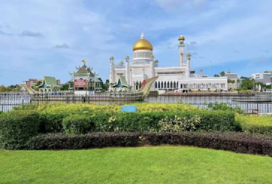 文莱河红树林+杰米清真寺+马莱科技馆+甘榜亚逸一日游【北婆罗洲较大的红树林之一，可赏独特生态，邂逅长鼻猴等珍稀动物。】
