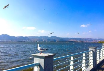 浪漫旅拍打卡线【理想邦圣托里尼 + 文笔村公路等 】【中文司机】