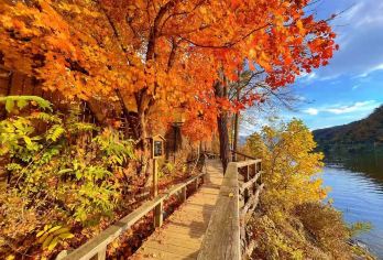 韩国南怡岛+江村铁轨自行车+早晨宁静花园一日游【南怡岛: 韩剧《冬季恋歌》取景地，四季皆美，有银杏大道、骑行小路与湖边美景，浪漫又放松。】