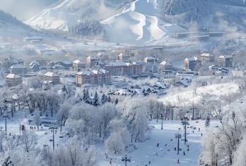亚布力西站-雪乡-亚布力西站 一日游【拼车|含雪乡门票】【服务时间：本产品为中文司机专车出行，服务时长为10小时，包括往返接送，景点参观及用餐时间；】