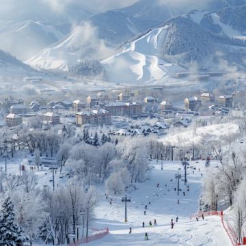 亚布力西站-雪乡-亚布力西站 一日游【拼车|含雪乡门票】