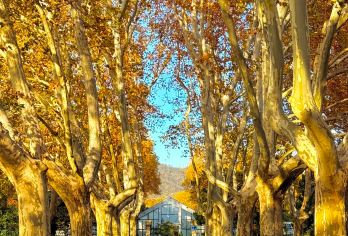 南京明孝陵半日游【2-10人团+深度讲解】【[品质保障]优选商品， 品质拒绝购物】