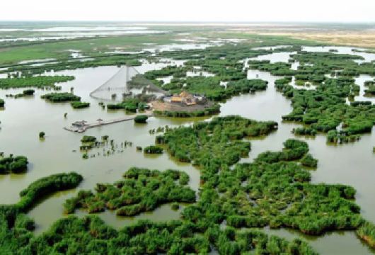 宁夏银川·沙湖生态旅游区一日游(塞上江南)【[服务保障]轻松亲子游、免费上门接送、老司机保驾护航、纯玩小团】