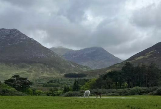 爱尔兰都柏林城堡- 圣三一学院-凤凰公园【爱尔兰全境包车】【专属私密，一家一团，尽享自在旅途。】