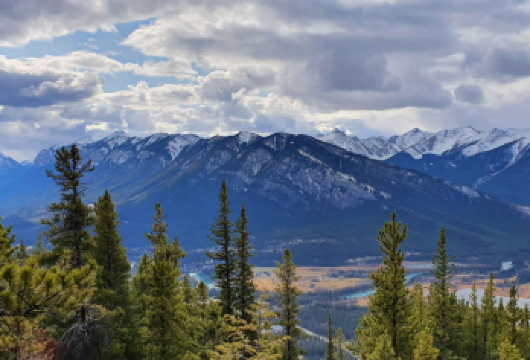 加拿大卡尔加里班夫公园-沛托湖露易丝湖【中文专车-惬意舒适】【中文专车出行，行程自己定义，无需等待，专属贴心服务，尽享惬意旅程】