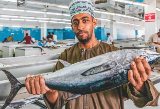 马斯喀特城区包车游【卡布斯大清真寺/马特拉集市/S弯】【含接送服务，轻松开启马斯喀特城市观光，打卡阿拉姆宫等官方宫殿。】