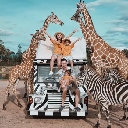 【新年特惠，专车出行】北碧府动物园+桂河大桥+死亡铁路一日游