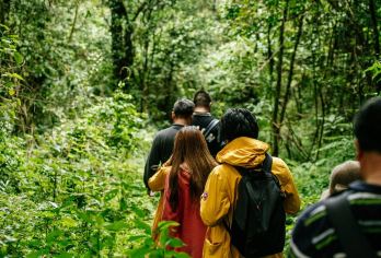 腾冲高黎贡山花寨徒步一日游【瀑布群、山野厨房、茶海漫步】【跟随当地向导徒步“世界物种基因库”高黎贡山。】