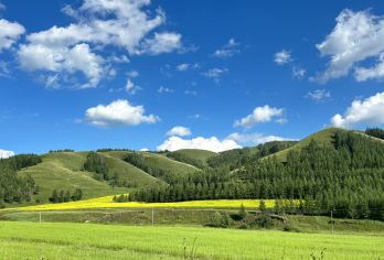 呼和浩特+库布齐沙漠+敕勒川草原一日【纯玩6人小团】】【[驾到]紧致行程】