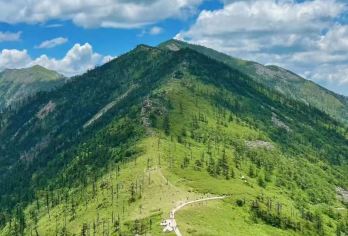 【西安往返·纯玩·踏青·上青山】朱雀国家森林公园一日游【西安出发1.5h直达的天然氧吧！】