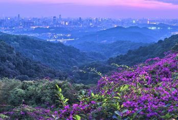 广州陈家祠+中山纪念堂+白云山+岭南印象园+珠江夜间活动【市区经典游】