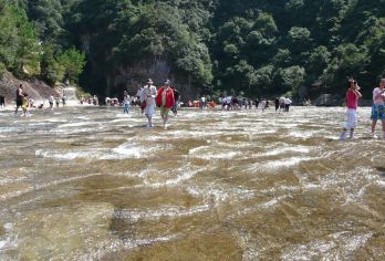 福建宁德：白水洋景区+鸳鸯溪一日游/不拼团/导游/包车T【全程中文/英文/小语种服务，沟通无障碍，景点可调】