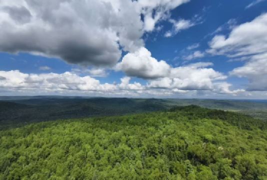 五营红松林海景区+汤旺河石林景区一日游【畅游小兴安岭红松林海原始森林，奈良22度的夏天。】