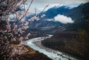 西藏林芝地区雅鲁藏布大峡谷一日游丨西藏林芝当地往返【林芝市区往返接送，全程无隐形消费，纯玩无购物】