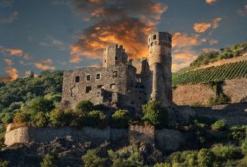 德国柏林无忧宫+新宫+荷兰区+孔雀岛+勃兰登堡门一日游【包车纯享，行程自由，支持个性化定制】