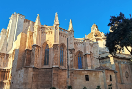 西班牙 巴塞罗那-塔拉戈纳一日游（可定制周边游）【专属客服和本地中文司机，一家一团包车】