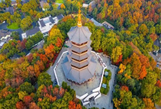 西湖纯玩一日游【雷峰塔+西湖+花港观鱼+灵隐飞来峰】【打卡国家AAAAA级景区--西湖。】