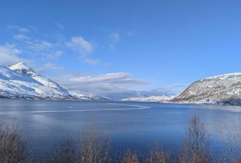 挪威特罗姆瑟-塞尼亚岛+索玛若伊经典游【包车-跟团询客服】【中文专车出行，景点灵活调整，打卡经典，游玩自己定义，无需等待，专属贴心服务，尽享惬意旅程】