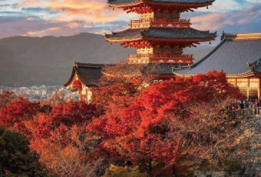 大阪出发京都一日游【中文专车/行程可调】