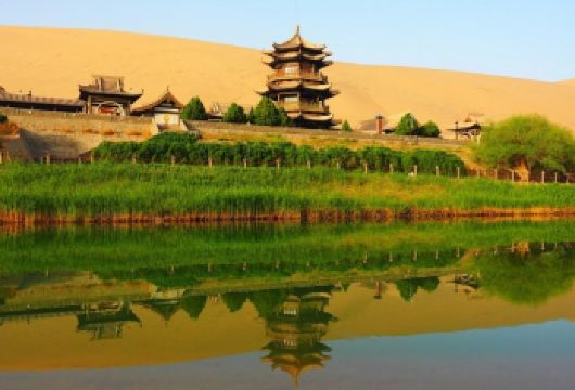 敦煌+莫高窟+鸣沙山月牙泉一日游【上门接送/门票自理】【[欣美品质]纯玩无购物，赠送不限量矿泉水】