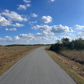 大沼泽地国家公园-迈阿密往返一日游（不含门票）