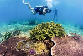 【含门船票+专车上门接送+向导伴游 】陵水分界洲岛一日游【5A海岛，气候、人文、行政分界，玻璃海果冻海，与海洋动物互动等众多亲子活动项目】