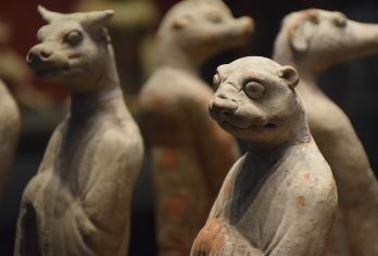 陕西历史博物馆半日游【精选研学讲师讲2.5小时，不含门票预约【蓝牙耳麦配备，清晰聆听，让历史之旅不受干扰，更加专注】