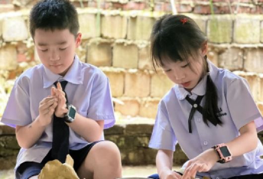 西双版纳象出没雨林营地+曼掌村一日游【酒店上门接送+独立团】【[品质保障]平台售后保障，贴心客服解答，纯玩无购物，打卡大树咖啡、丛林飞跃。】