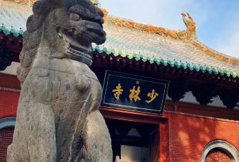 少林寺+龙门石窟一日游|纯玩无购物|市区酒店上门接|天天发团【行程纯粹体验佳：纯玩无购物，专注游览少林寺、龙门石窟两大景点】