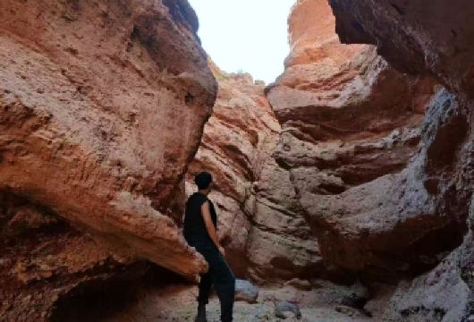 张掖七彩丹霞+平山湖大峡谷一日游【景区直通车+小车团】【[出行无忧]张掖景点直通车，全程无购物。】