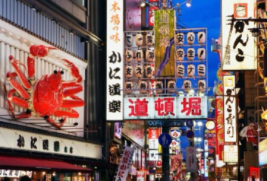 日本东京大阪京都奈良神户横滨包车一日游（行程可调）  【轻松无忧！酒店上门点对点接送，包车行程可调灵活自由，私密性高。】