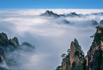 【迎客松专线】黄山+玉屏网红下午茶一日游 |导游+专车|纯玩【前山玉屏上下，直达核心景区，专为轻松游设计，以最小体力打卡国宝迎客松。】