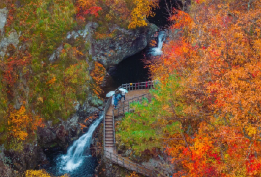 本溪水洞+小市一庄一日游【高铁游| 沈阳出发|可选单程】【高铁出行当天往返】