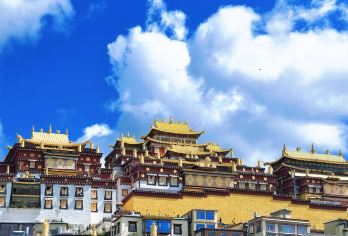 云南迪庆普达措国家公园+松赞林寺+独克宗古城一日游中英文服务【普达措画卷铺天地，松赞林寺金顶映日，独克宗古城月光不夜，香格里拉三圣境。】