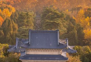 钟山风景区一日活动【中山陵+明孝陵+音乐台+美龄宫梧桐大道】【全程提供无线耳麦讲解，讲解更清晰，行动更方便-无购物、无自费，深度体验钟山陵风景区，告别走马观花】