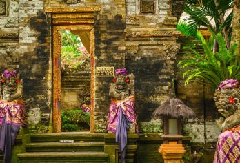 乌布：猴林、梯田和圣泉寺一日游【在神秘的猴林保护区近距离接触乌布的神圣猕猴。 在德格拉朗翠绿的稻田梯田捕捉难忘的美景。 在圣泉寺 (Tirta Empul) 见证巴厘岛的净化仪式，并了解其意义。】