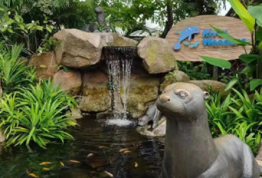 【新加坡一日游】滨海湾花园+鱼尾狮公园+乌节路+河川生态园【包车成团，畅游赤道明珠，体验魅力南洋】