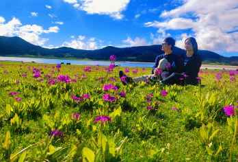 丽江文海+白沙古镇+雪嵩村(玉湖村)包车游：景美人少小众游【本土实力车队多种车型供选，不同人数不同需求可自由选择，一手包车资源无忧售后出行；】