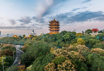 武汉黄鹤楼半日游【人工讲解丨可含门票丨拼团或包团】【多种选择，含门票，不含门票，出行无忧】