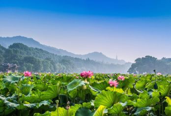 杭州日游：西湖+灵隐寺+宋城 | 专业导游【中英俄法德西】#【拒绝走马观花式游览，资深导游一站到底式管家】