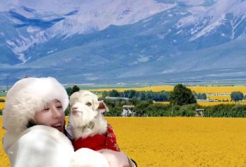 拉脊山+日月山+青海湖二郎剑一日游【体验拉脊山3820米的海拔，高原蓝宝石核心打卡点，藏式风情互动，参观湖畔牧民家访，高原美食快闪宴】