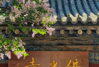 忻州+洪福寺+南禅寺+佛光寺+延庆寺一日游【包车出行】【上门接送VIP独立出行，多线路可选，摆脱等其他游客的烦恼，让您的行程更宽松，游玩时间更充足。】