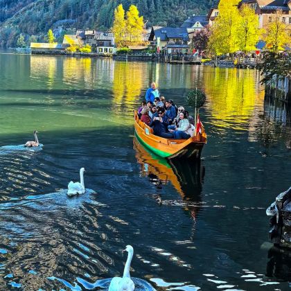 维也纳哈尔施塔特湖一日【童话小镇深度游/可选出发地/中文司导