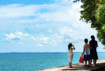 厦门小嶝岛赶海一日游【暑期特惠+可选帆船+海鲜餐+天天发团】【[特色体验]滩涂赶海大丰收，挖蛤捉蟹一抓一篓！捕海鲜尝渔家鲜味，赏醉美海景，亲子同乐畅享闽南渔趣！】