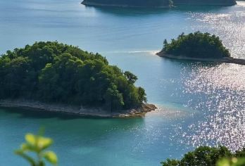 千岛湖中心湖区一日游【门票(含游船)+岛上自助餐+导游讲解】【[资深讲师]持有国家导游证，馆内深度讲解导览服务！】