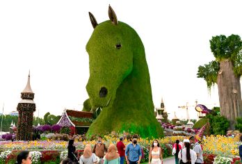 迪拜：奇迹花园门票（含接送服务）【参观迪拜著名的花园，拥有 5000 万朵鲜花和 2.5 亿株植物 漫步在蓝精灵村，那里有著名的蓝色生物和蘑菇屋 在花园内的露天剧场观看现场表演和活动】