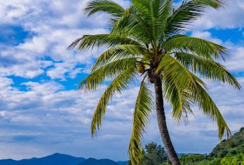 三亚南山海上观音+天涯海角+大小洞天包车一日游【精致出行丨上门接送丨氛围更和谐】